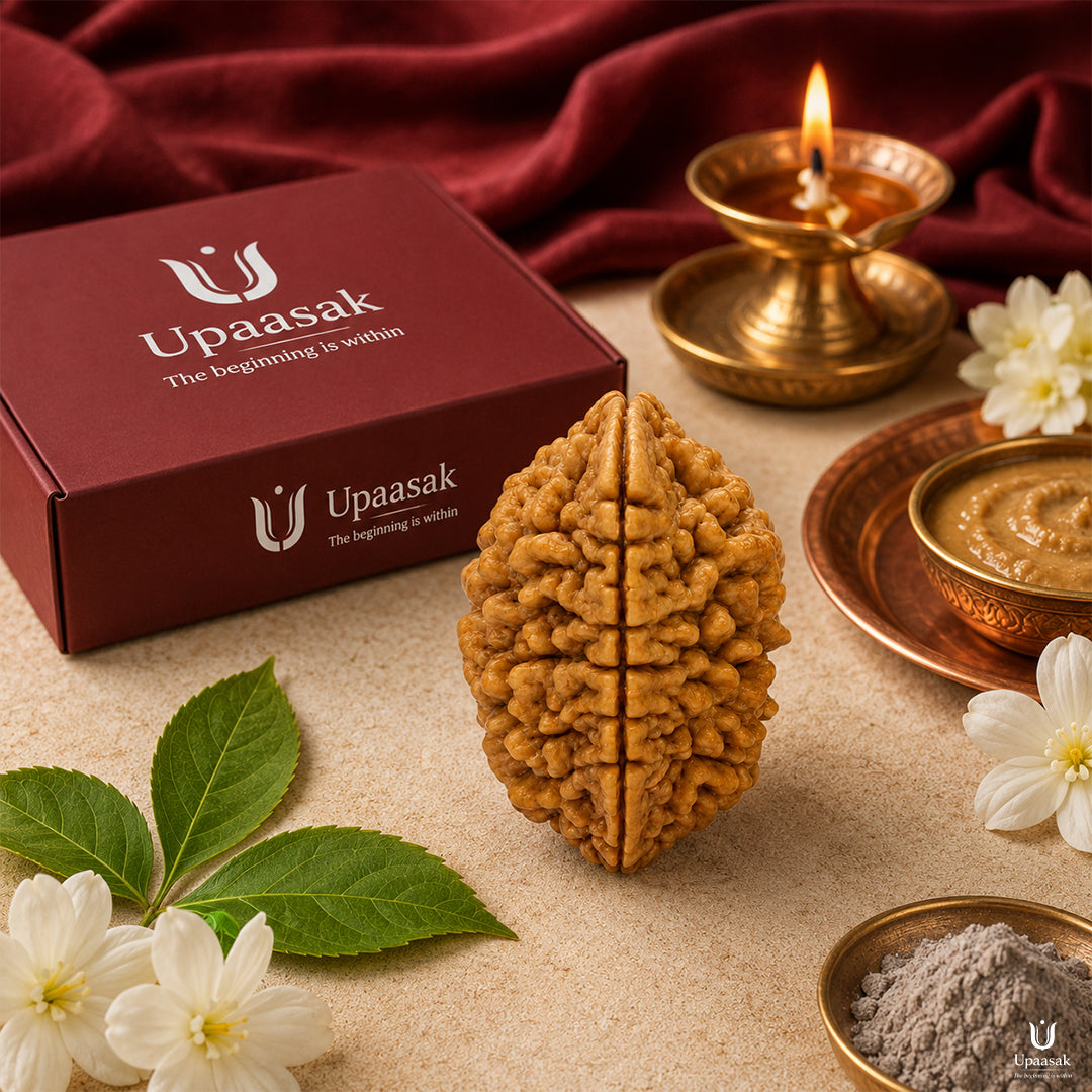 Identify Original Rudraksha