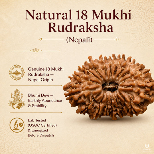 18 Mukhi Rudraksha (Nepali) with X-Ray Certificate