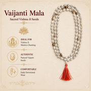 Vajanti Mala - Sacred Vishnu Ji Seeds thumbnail 2