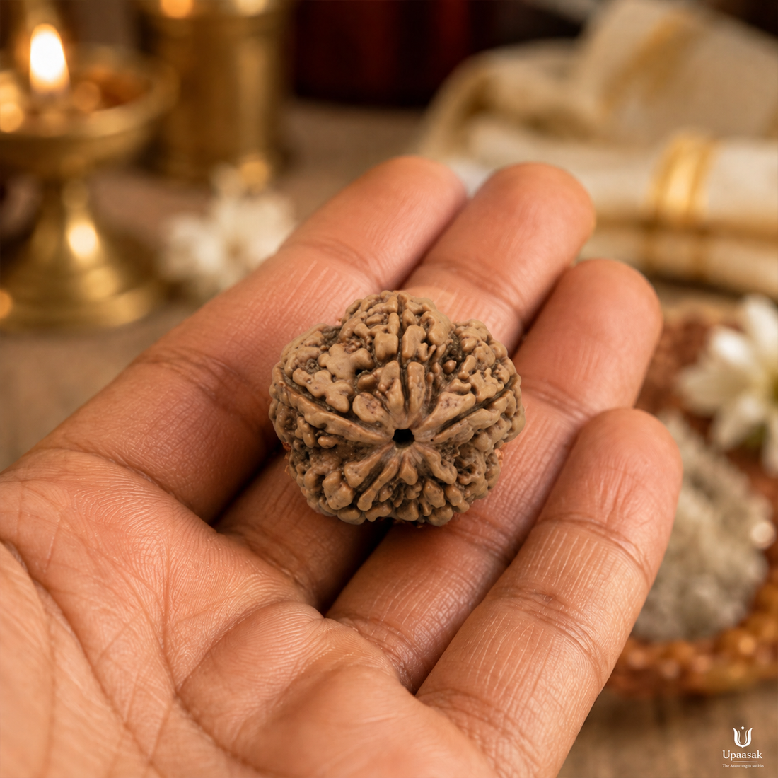 5 Mukhi Rudraksha (MRP ₹1250) - FREE | Pay Only ₹299 Delivery