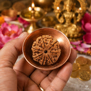 Natural 7 Mukhi Rudraksha (Nepali) thumbnail 3