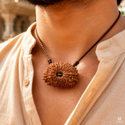 18 Mukhi Rudraksha (Nepali) with X-Ray Certificate thumbnail 3