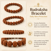 Rudraksha Bracelet — Daily Shiva Protection thumbnail 4