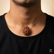 Natural 3 Mukhi Rudraksha (Nepali) thumbnail 5