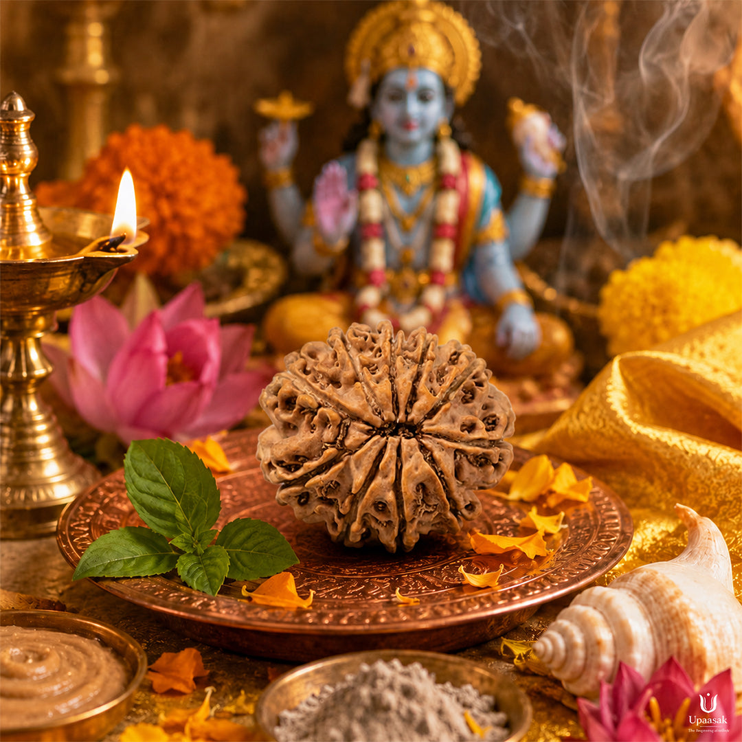 10 Mukhi Rudraksha (Nepali) with X-Ray Certificate