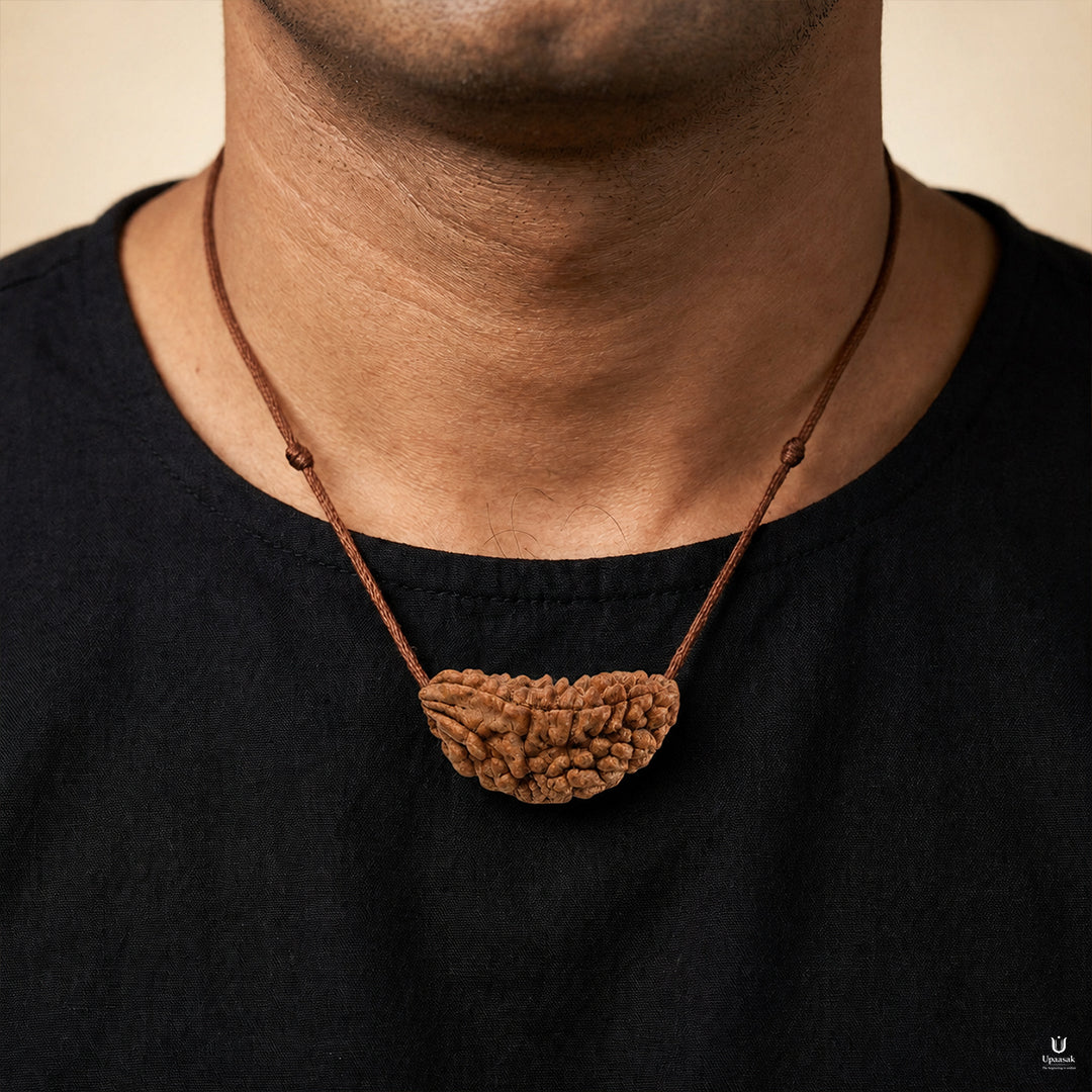 Natural 1 Mukhi Rudraksha (Indonesian)