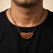 Natural 1 Mukhi Rudraksha (Indonesian) thumbnail 5