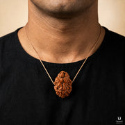 Natural 2 Mukhi Rudraksha (Indonesian) thumbnail 5
