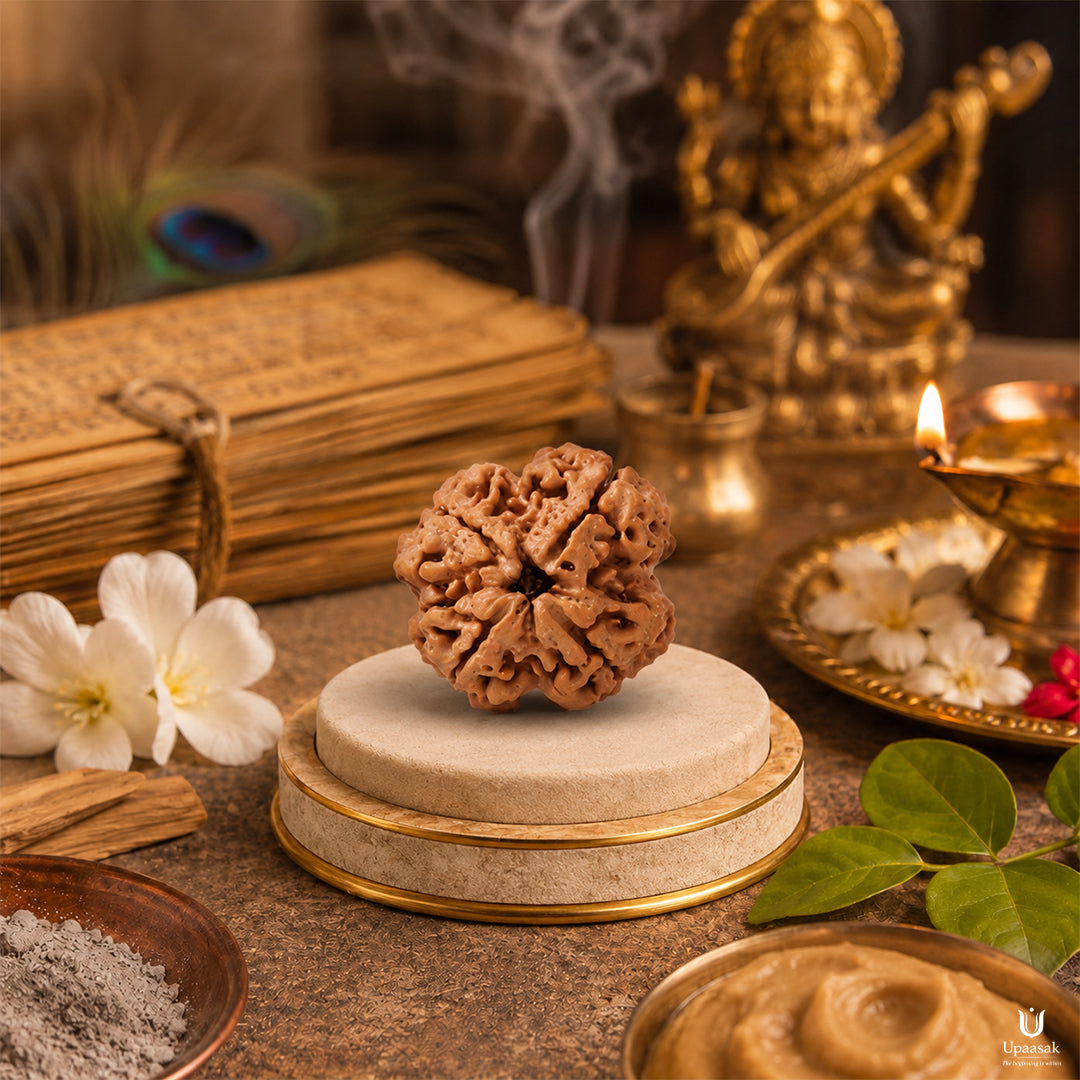 Natural 4 Mukhi Rudraksha (Nepali)
