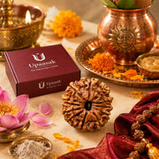 Natural 12 Mukhi Rudraksha (Nepali) thumbnail 6