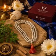 Vajanti Mala - Sacred Vishnu Ji Seeds thumbnail 6