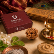 Natural 4 Mukhi Rudraksha (Nepali) thumbnail 6