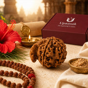 Natural Ganesh Rudraksha (Nepali) thumbnail 6