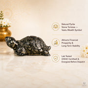 Natural Pyrite Tortoise Wealth Symbol thumbnail 4