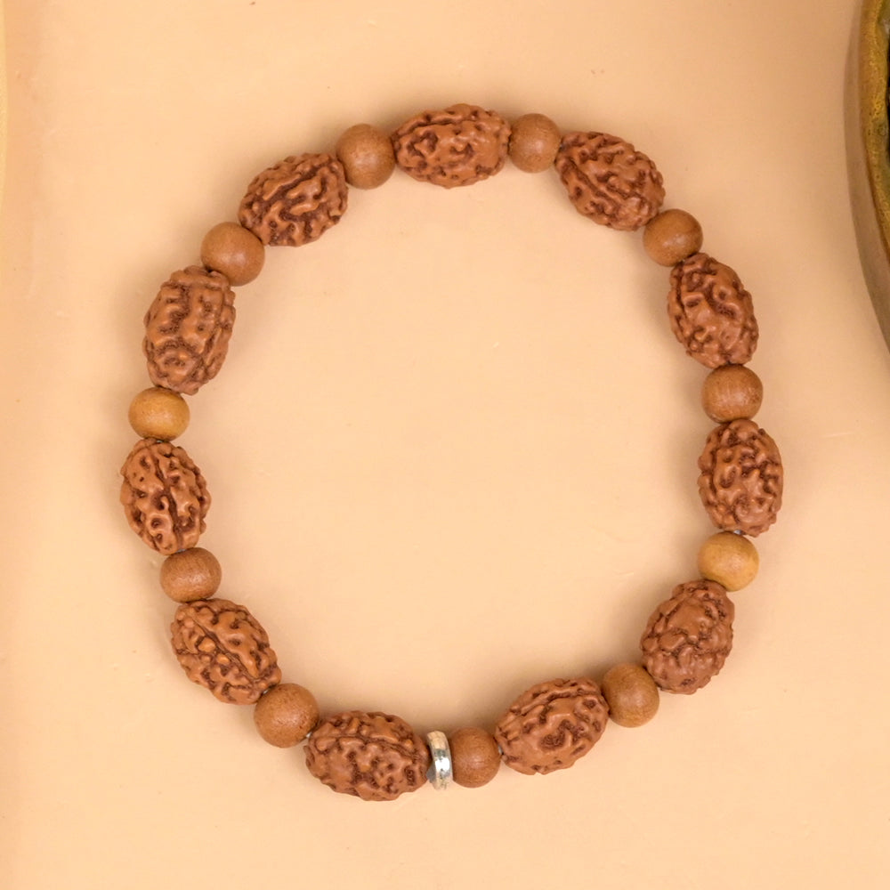 3 Mukhi & Red Sandalwood Bracelet