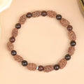 2 Mukhi & Red Sandalwood Bracelet